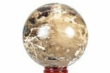 Polished Black Opal Sphere - Madagascar #225137-2